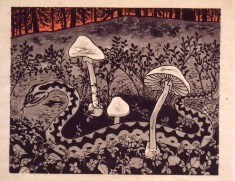 Kyy ja valkoisia k&auml;rp&auml;ssieni&auml; (&copy; Johanna Kiivaskoski)