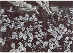 (&copy; Johanna Kiivaskoski))